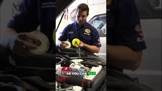 Genuine Toyota vs Aftermarket Fuel Filters The Truth Revealed [upl. by Tepper733]