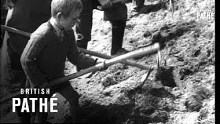 Austrian Mountain Farm 1940 [upl. by Helsie]