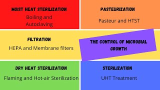 The Control of Microbial Growth How to Study Microbiology [upl. by Shaefer302]