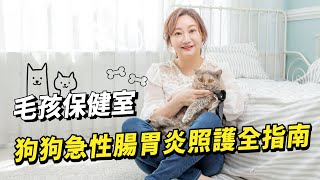 【毛孩保健室】狗狗急性腸胃炎照護全指南｜小姐愛美力 [upl. by Inalawi]