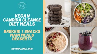 Vegan Candida Cleanse Diet Recipes and Meals for a Day [upl. by Currey]