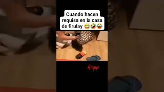 Todo eso cabe en su casita jajaja [upl. by Ivo889]