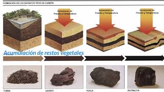 Rocas sedimentarias  1ESO [upl. by Ahseel838]