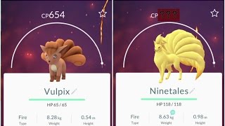 1800cp Ninetales Epic Pokemon Go Vulpix654 Evolution [upl. by Niwde]