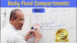 Body Fluid Compartments  IV Fluids  Types amp Uses Part 1🩺 [upl. by Atiekan8]