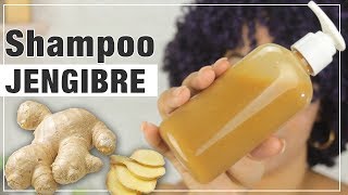 Shampoo de Gengibre para El Crecimieno del Cabello y Eliminar la caspa [upl. by Eirrem]