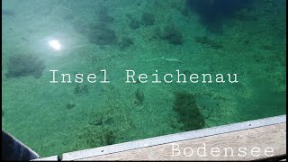 Insel Reichenau 2022 Bodensee [upl. by Varion]