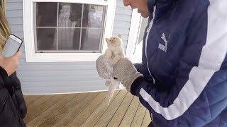 Trovano un gatto congelato in giardino Quello che accade è un vero miracolo damore [upl. by Araeit]