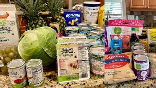 Weekly Vegan Grocery Haul Food Lion Harris Teeter amp Publix Dinner Plan All for 152 [upl. by Nolyar514]