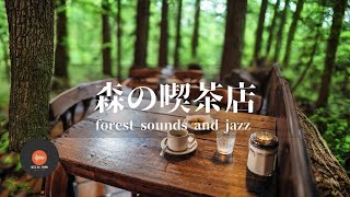 環境音JAZZ 森の喫茶店 自然の環境音 森の中でリラックス 鳥のさえずり 川のせせらぎ CAFE JAZZ  作業用BGM [upl. by Nauht]