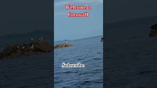 Welcome to Cornwall [upl. by Rucker696]