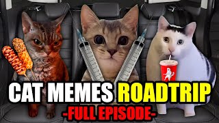 Cat MEMES Roadtrip Compilation Full 1 Hour [upl. by Idner]