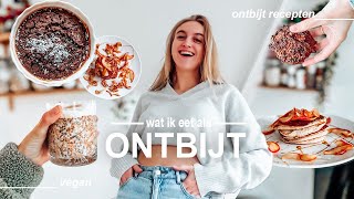 mijn go to ontbijtrecepten  vegan [upl. by Farly792]