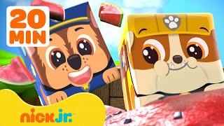 Block Partys Yummy Picnic with Giant Fruit amp More Adventures w PAW Patrol  20 Minutes  Nick Jr [upl. by Colon]