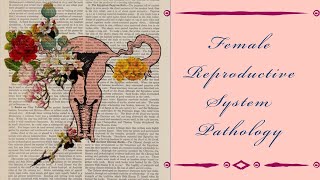 FEMALE REPRODUCTIVE SYSTEM PATHOLOGY lecture 26 GESTATIONAL TROPHOBLASTIC DISEASE hydatidiform mole [upl. by Etselec]