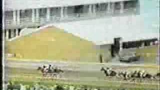 Preakness Stakes 1971 [upl. by Kcerred]