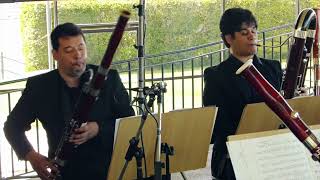 I Got Rhythm  Camaleon Bassoons bassoon [upl. by Ahtabat]