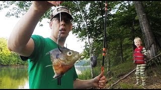 How to catch catfish from the bank  Bank fishing for catfish [upl. by Naget]