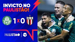 RONY MARCA E VERDÃƒO GARANTE MELHOR CAMPANHA DA PRIMEIRA FASE PALMEIRAS 1 X 0 BOTAFOGOSP [upl. by Noirrad]