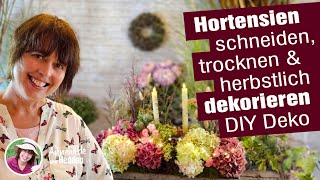 DIY Herstdekoration Hortensien schneiden dekorieren trocknen 2 Tischdeko Ideen selber machen [upl. by Holman]