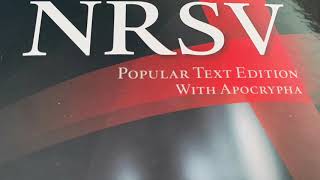 1 Esdras NRSV Bible Chapter 6 Apocryphal Audiobook [upl. by Acissaj]