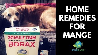 Home Remedies for Mange  Teds Famous Borax for Mange Treatment [upl. by Schatz761]