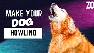 DOGS HOWLING to make your Dog Howl  Dogs HOWLING Sound Effect HD 100 GUARANTEED [upl. by Koy997]