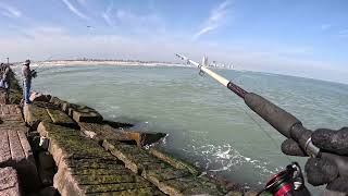 Fishing South Padre Island Jetties [upl. by Hanej]