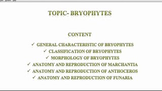 BSc1st sem botany notes on archegoniatesBryophytes Bryophytesmorphology and anatomy of bryophytes [upl. by Aynuat726]