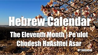 Hebrew Calendar  The Eleventh Month  Peulot  Chodesh HaAshtei Asar [upl. by Corby]