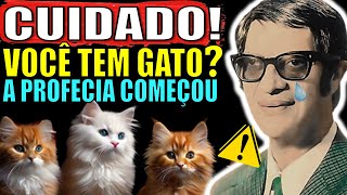 O Que Chico Xavier Previu Para quem tem GATO EM CASA Já Começou e TODOS ESTÃO CHOCADOS I Profecias [upl. by Dougal522]