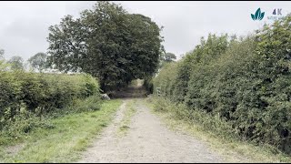 Leisurely walk on a dirt trail [upl. by Cusack]