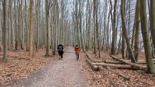 Hiking in Jasmund National Park Rügen Germany [upl. by Messab]