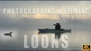 Photographing amp Filming Common Loons in Maine from a Kayak  Wildlife Photography [upl. by Ilario882]