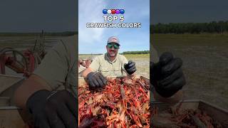 5 Shades Of Crawfish We See On The Farm [upl. by Eema]