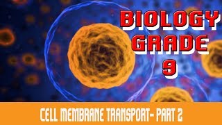 The Cell  Cell Membrane Transport B  Facilitated Diffusion  Active Transport  Part 8 [upl. by Aisor]