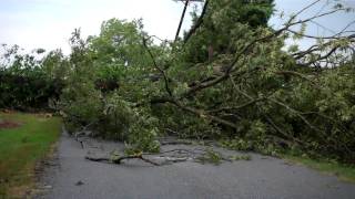 PacoletSCStorm takes down hugh tree and power linesLands in road near a home [upl. by Alimaj965]