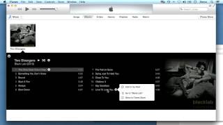 Convert iTunes music to MP3 format with iTunes 11 [upl. by Wachter921]