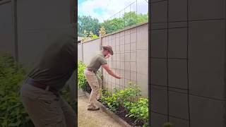 The Army Planted a Tree In The Garden shortsvideo [upl. by Eunice385]