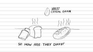 White Bread Vs Whole Wheat Grain Whats healthier Whats the difference [upl. by Polivy396]