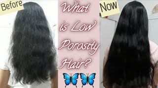 What is Low Porosity Hair How to make Them Silky and Shiny  Full Haircare Routine  Glow Yourself [upl. by Kcirddor]