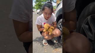 LNS  Giải cứu chó con dưới gầm ôtô  Rescue puppies from under car wheels shorts [upl. by Eelimaj]