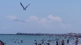 B2 Stealth Bomber flies over Miami Beach 53021 [upl. by Pfaff]