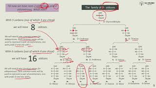 Carbohydrates  2Family of Aldoses and Ketoses [upl. by Claude]