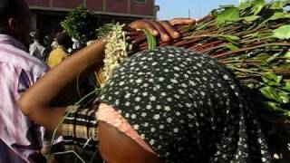 Khat market Aweday near Harar Ethiopia [upl. by Avrit688]