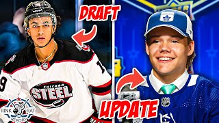 2024 NHL Draft Preview  Leafs Prospect Update w Will Scouch [upl. by Austen]