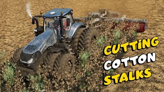 Cutting Cotton Stalks  Farming Simulator 22 [upl. by Tab]