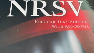 1 Esdras NRSV Bible Chapter 5 Apocryphal Audiobook [upl. by Anilocin]