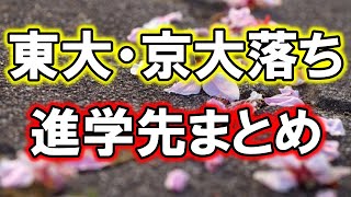 【超リアル】東大・京大に落ちた受験生の進学先を本気でまとめてみた [upl. by Oivlis]