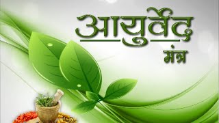 Ayurveda Mantra  Episode 5  सत्यानाशी Argemone mexicana  जलोदर रोग Ascites Disease [upl. by Jamill]